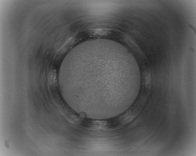 X0000103910328200809191308