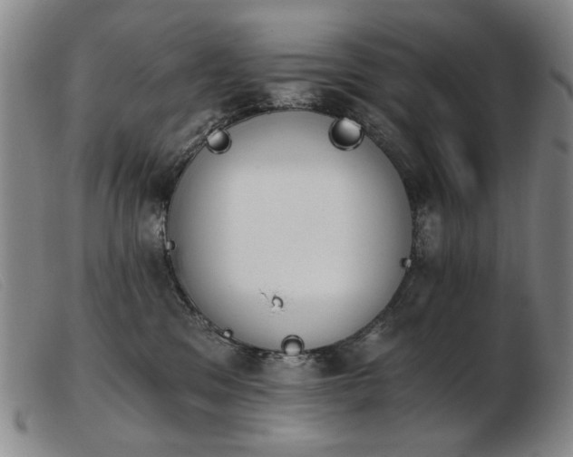 X0000103910329200809191308