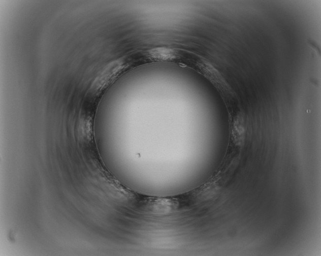 X0000103910330200809191308