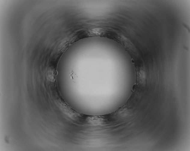 X0000103910331200809191308