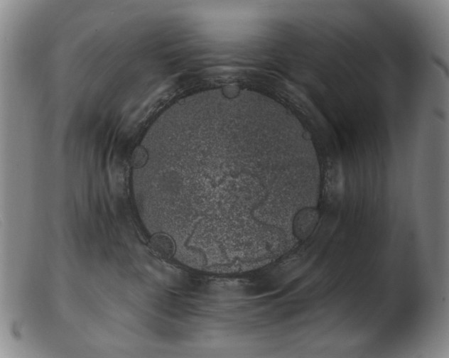 X0000103910332200809191308