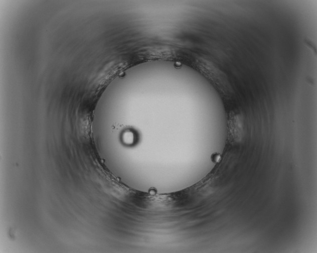 X0000103910333200809191308