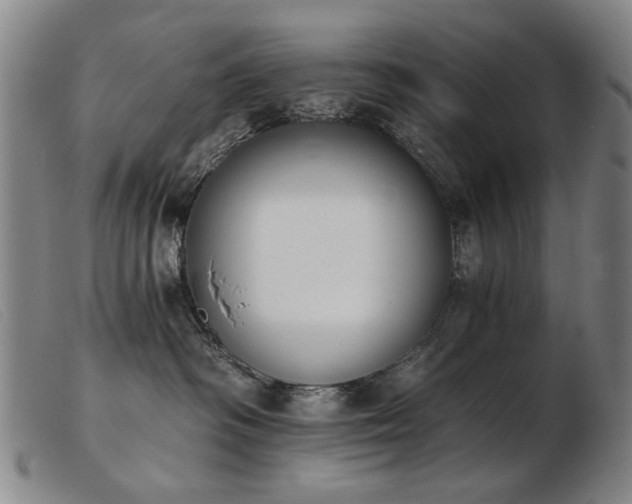 X0000103910334200809191308