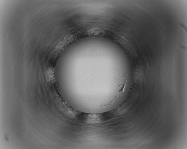 X0000103910335200809191308