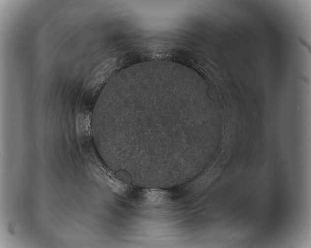 X0000103910336200809191308