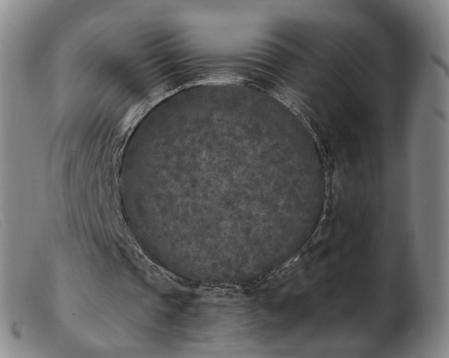X0000103910337200809191307