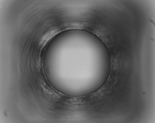 X0000103910338200809191307