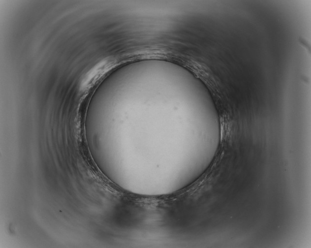 X0000103910339200809191307