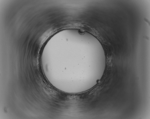 X0000103910340200809191307