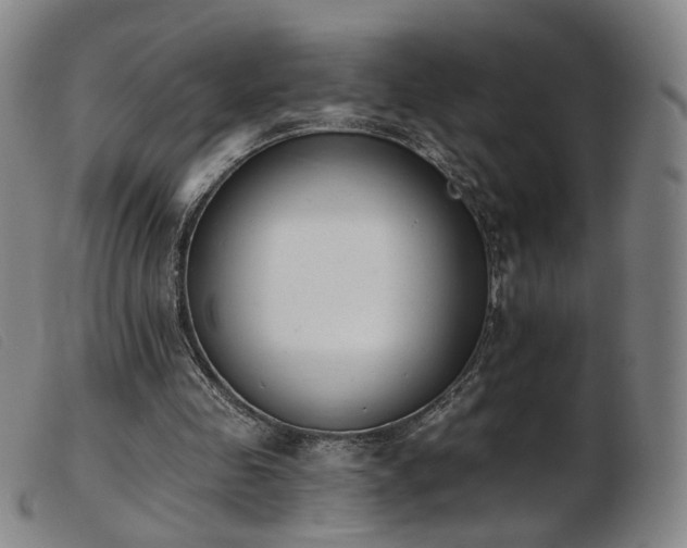 X0000103910341200809191307