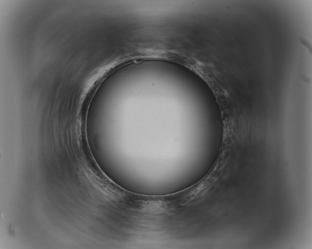 X0000103910342200809191307