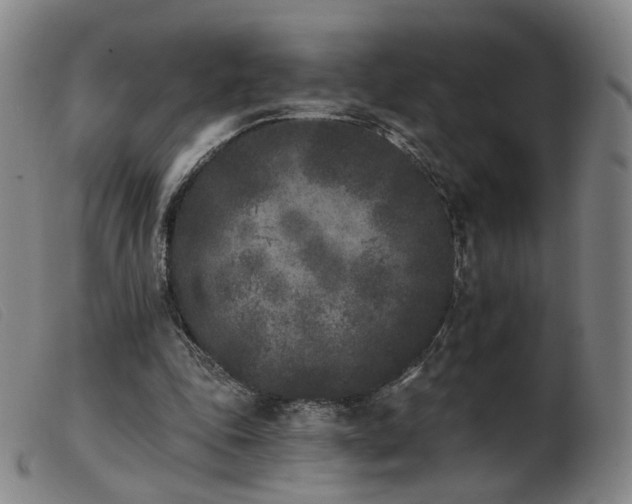 X0000103910343200809191307