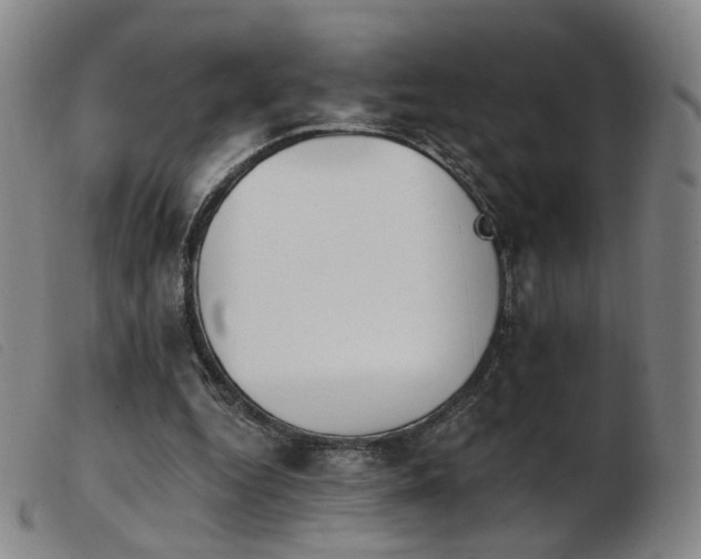 X0000103910344200809191307