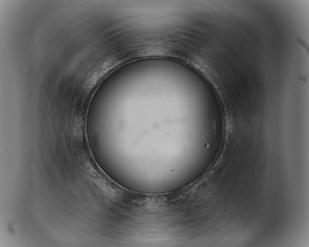 X0000103910345200809191307