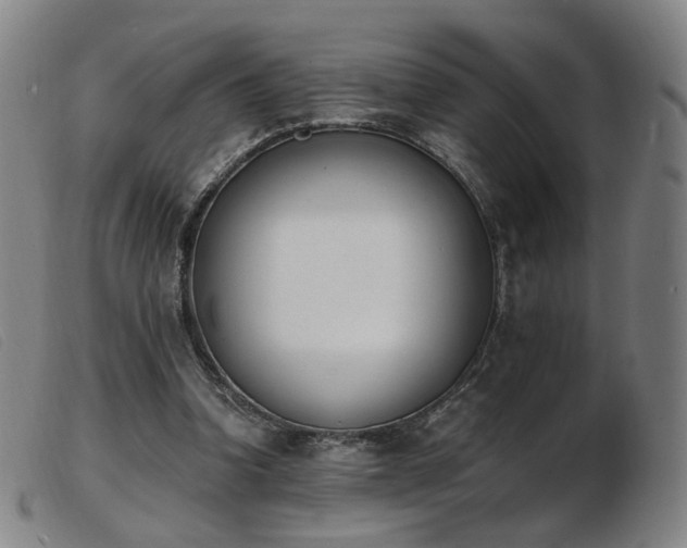 X0000103910346200809191307