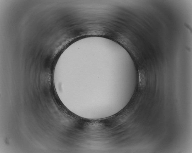 X0000103910348200809191307