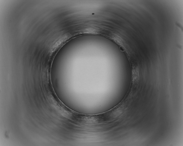 X0000103910349200809191307