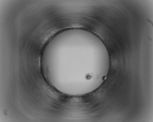 X0000103910350200809191307