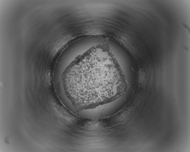 X0000103910351200809191307