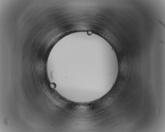 X0000103910352200809191307