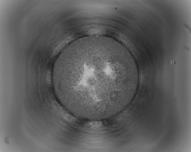 X0000103910353200809191307