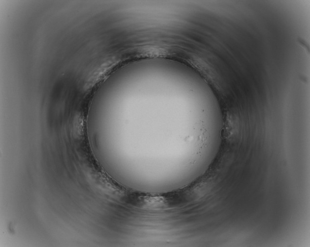 X0000103910355200809191307