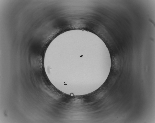 X0000103910356200809191307