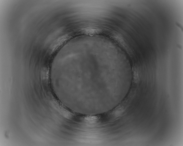 X0000103910357200809191307