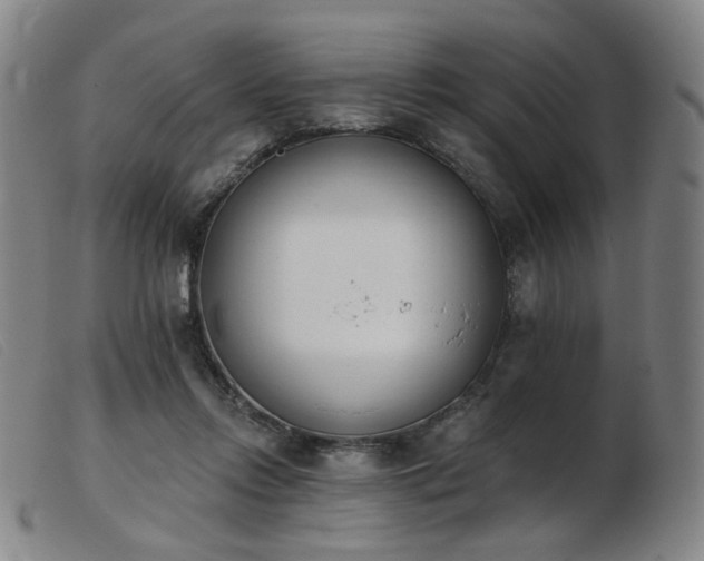 X0000103910358200809191307