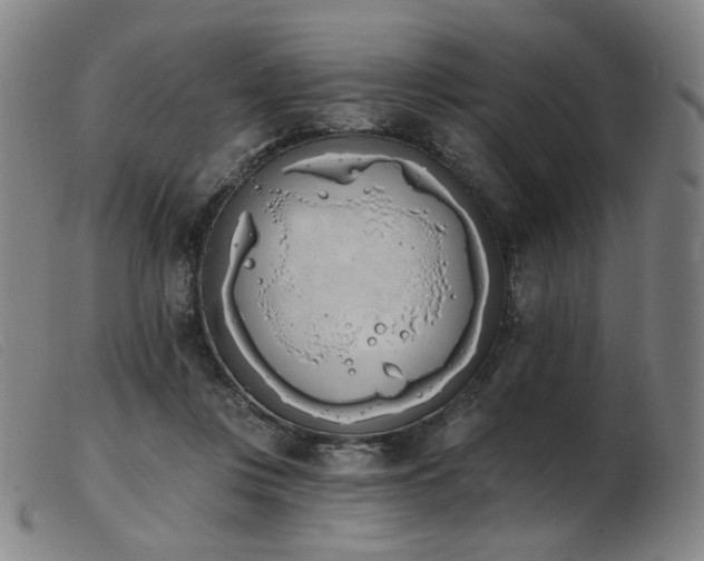 X0000103910359200809191307