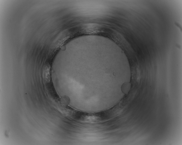 X0000103910360200809191307