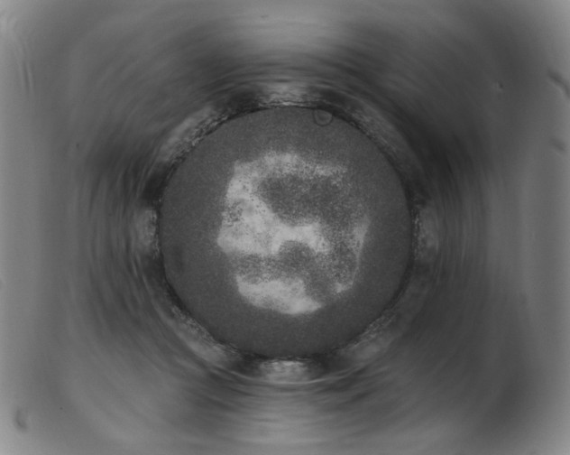 X0000103910361200809191307