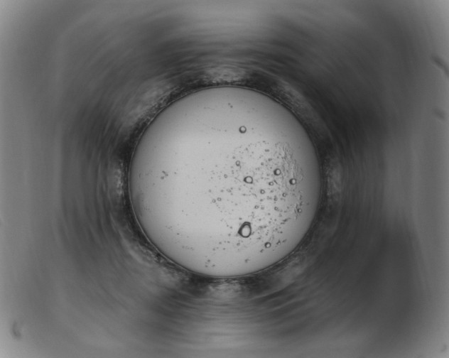 X0000103910362200809191307