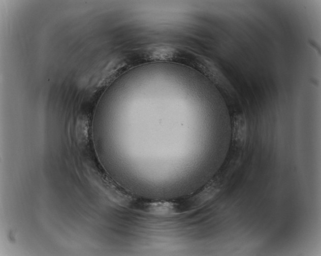 X0000103910363200809191307