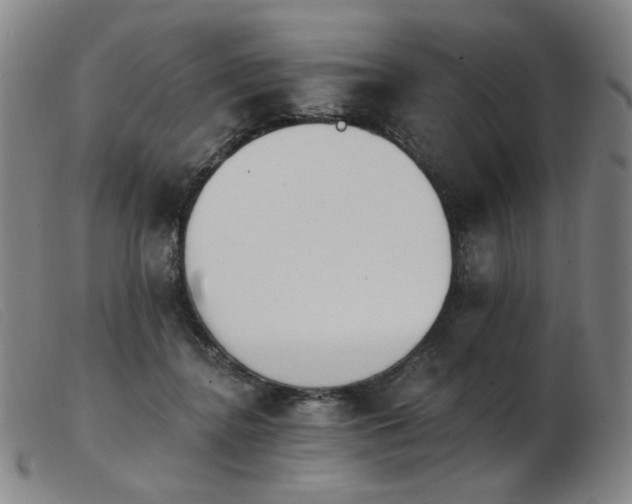 X0000103910364200809191307