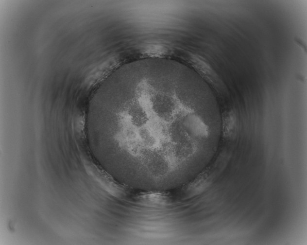 X0000103910365200809191307