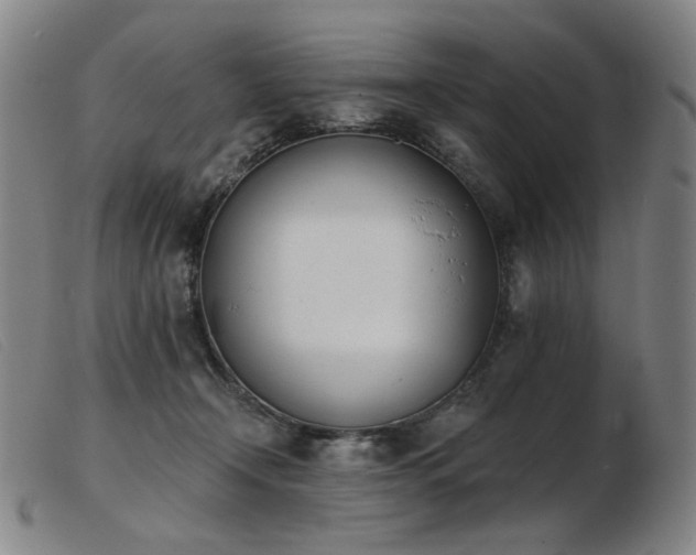 X0000103910366200809191307