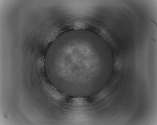 X0000103910367200809191307