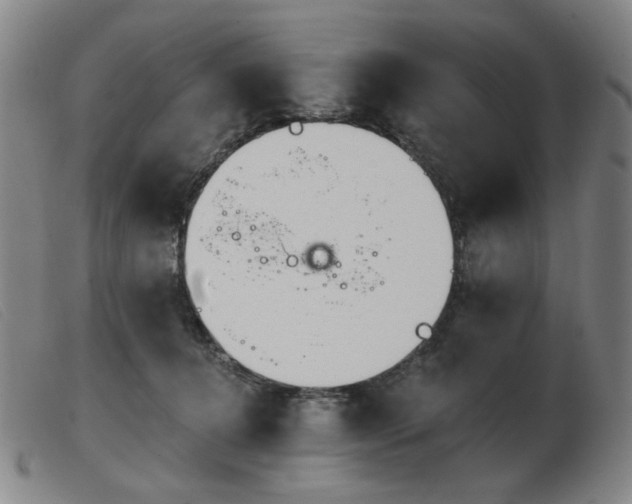 X0000103910368200809191307