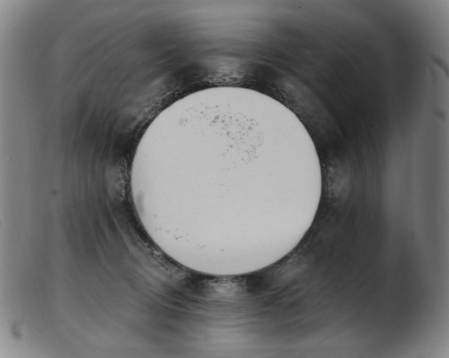 X0000103910370200809191307