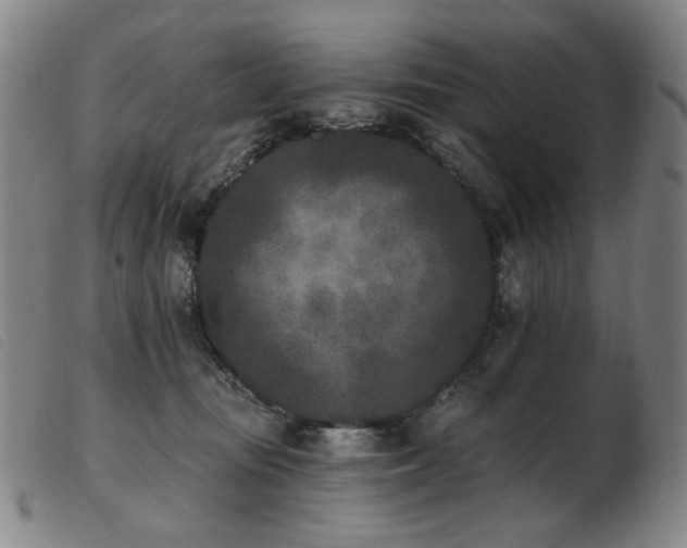 X0000103910371200809191307