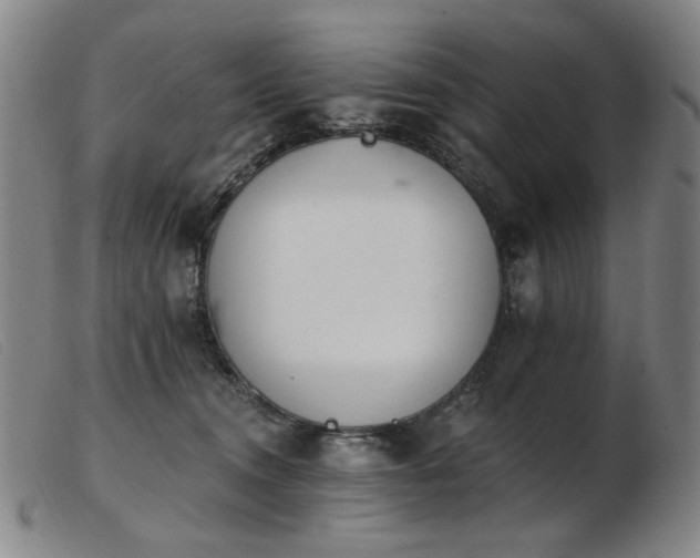 X0000103910372200809191307