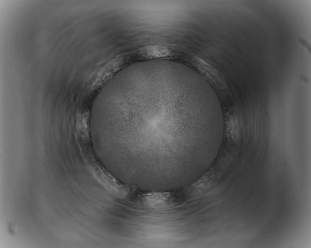 X0000103910373200809191307