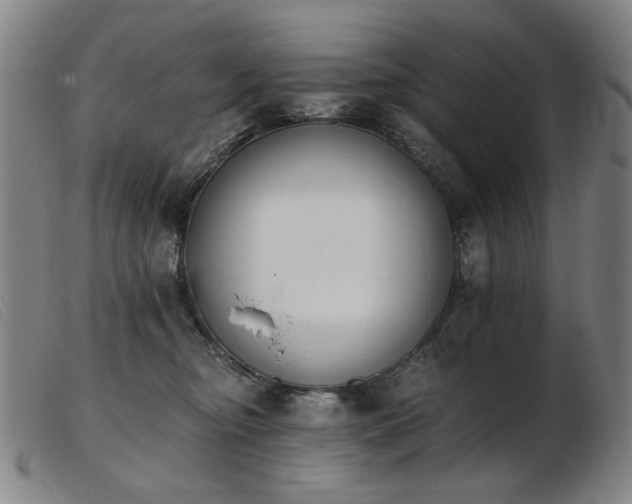 X0000103910374200809191307
