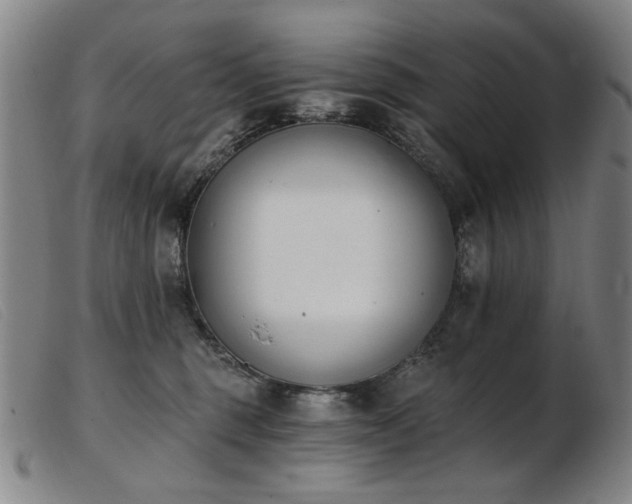 X0000103910375200809191308