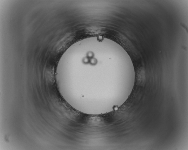 X0000103910376200809191308