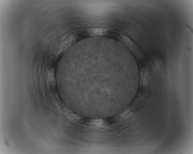 X0000103910377200809191308