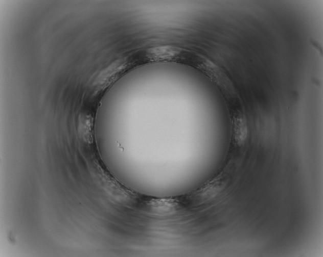 X0000103910378200809191308