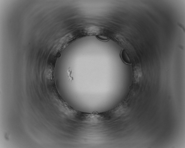 X0000103910379200809191308