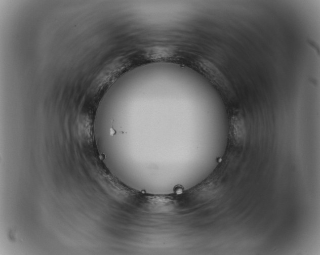 X0000103910380200809191308